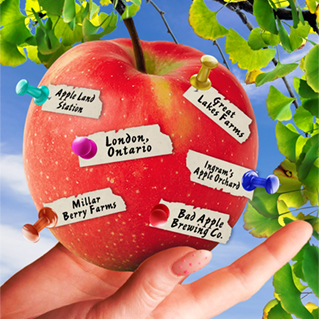 Illustration of a hand picking an apple from a tree with names of apple-picking locations pinned to it